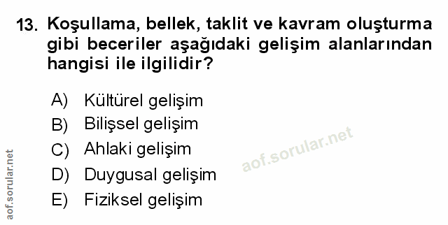 Soru 13