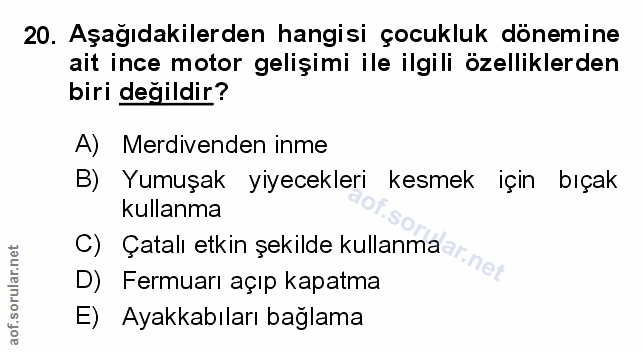 Soru 20