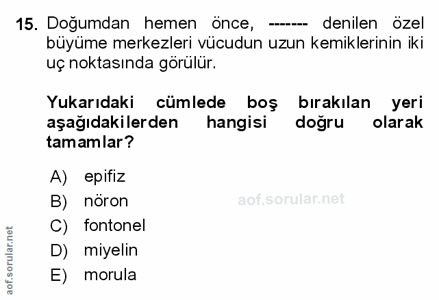 Soru 15