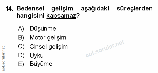 Soru 14