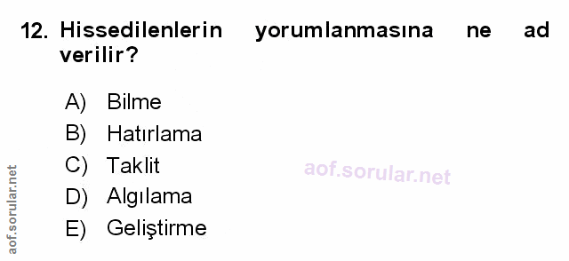 Soru 12