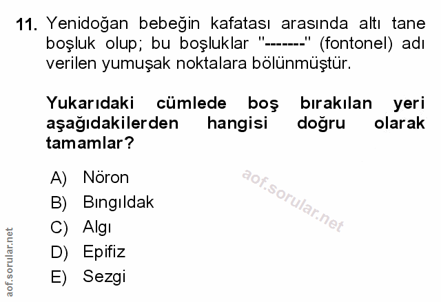 Soru 11