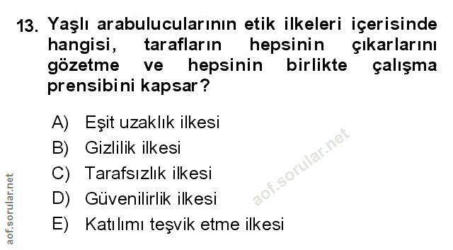 Soru 13