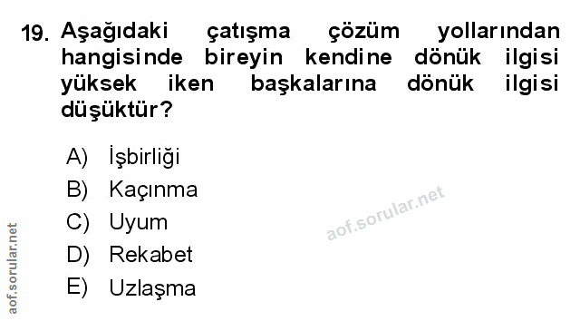 Soru 19