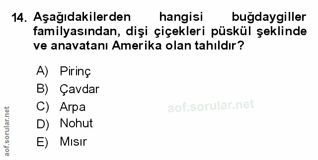 Soru 14