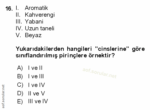Soru 16