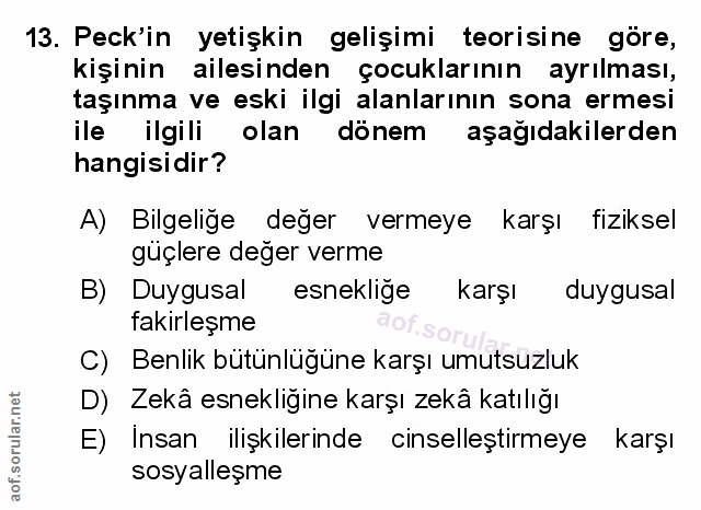 Soru 13