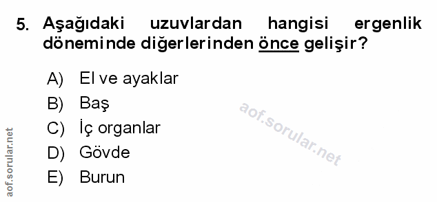 Soru 5