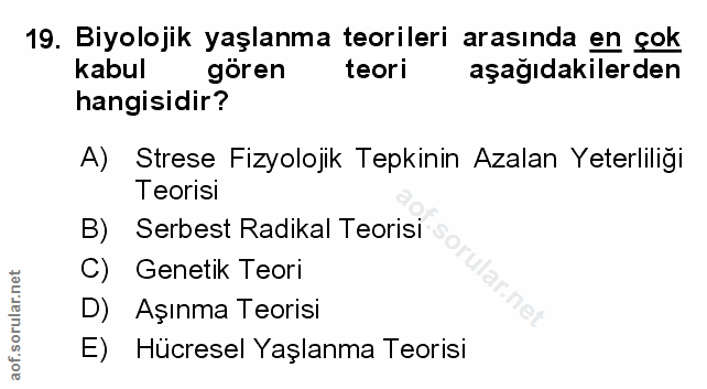Soru 19
