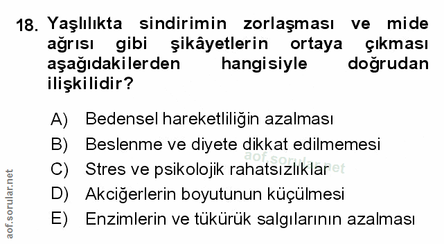 Soru 18