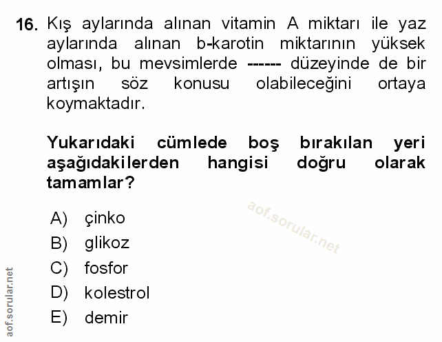 Soru 16