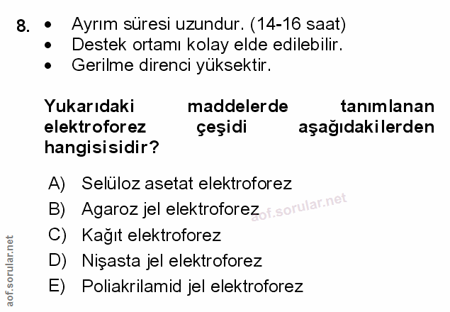 Soru 8