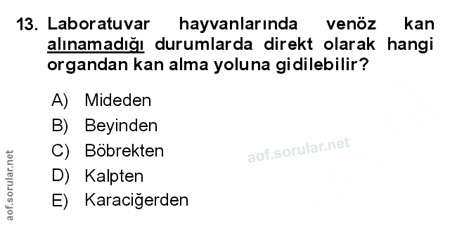 Soru 13