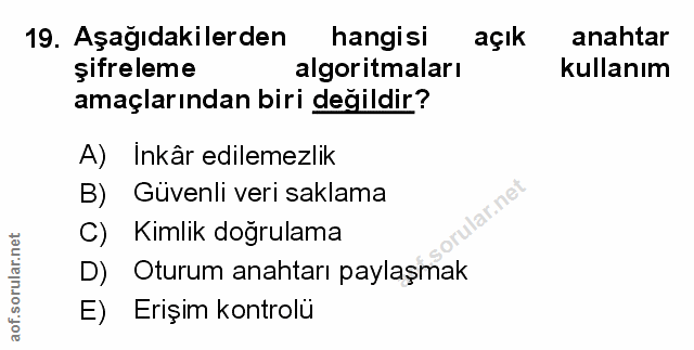 Soru 19