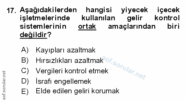 Soru 17