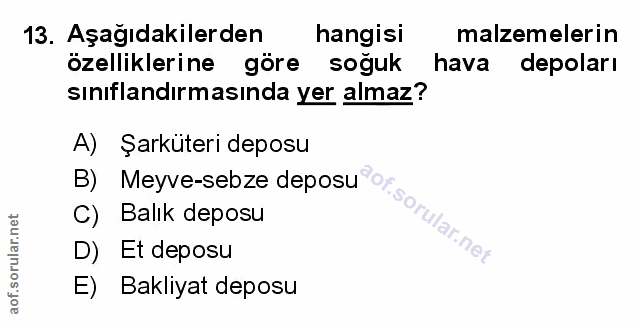 Soru 13