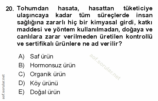 Soru 20