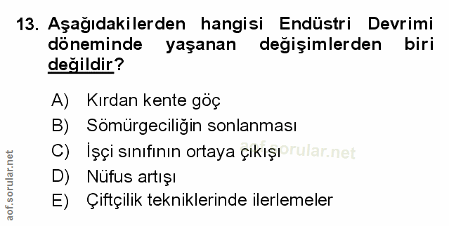 Soru 13