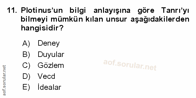 Soru 11
