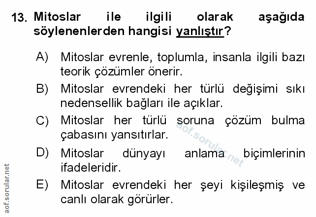 Soru 13