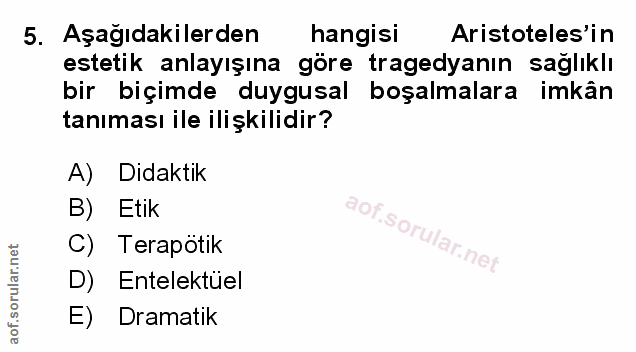 Soru 5