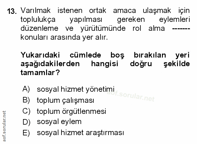 Soru 13