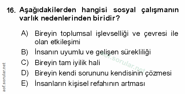 Soru 16