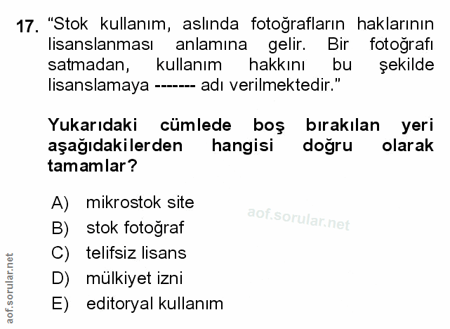 Soru 17