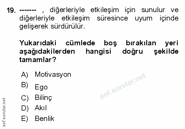 Soru 19