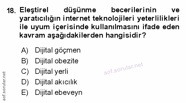 Soru 18