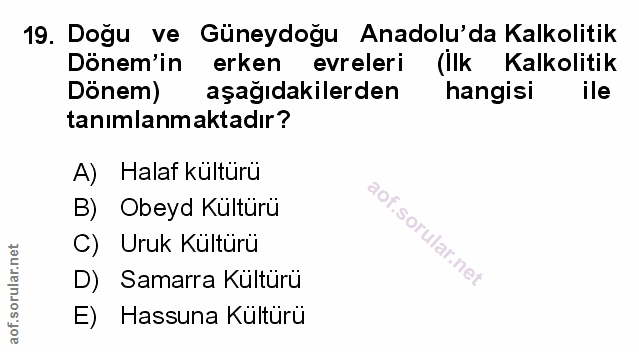 Soru 19