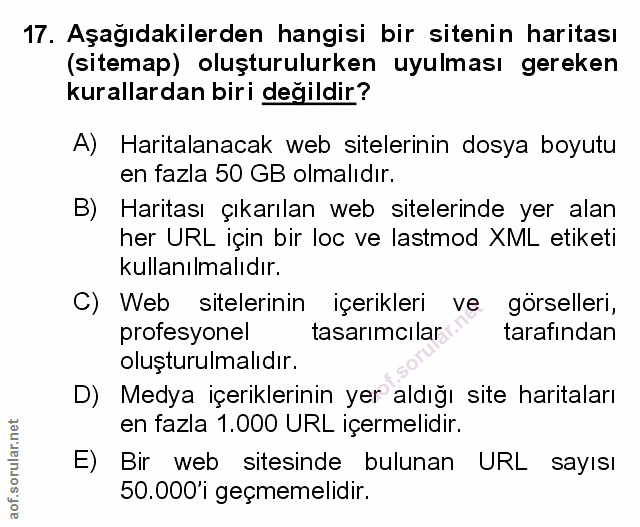 Soru 17