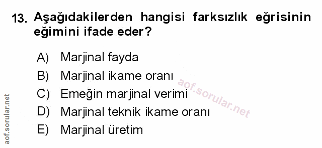 Soru 13