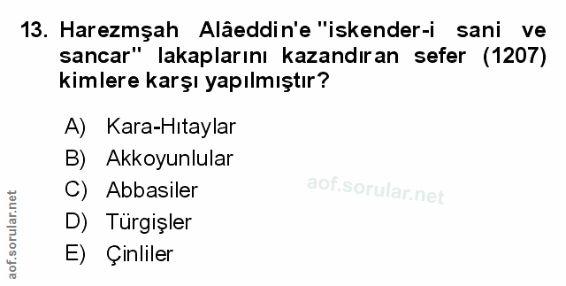 Soru 13