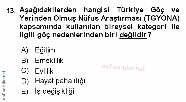 Soru 13
