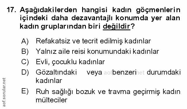 Soru 17