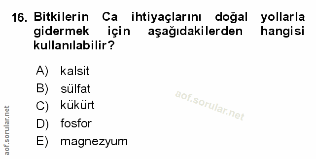 Soru 16