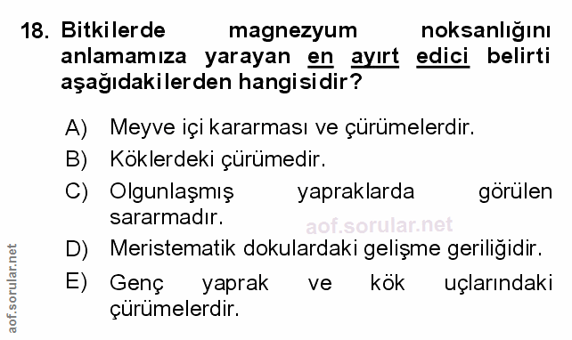 Soru 18
