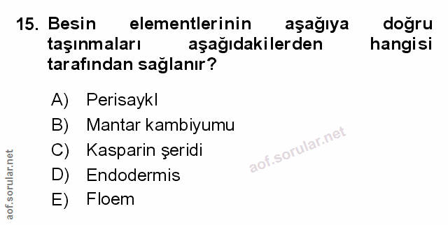 Soru 15