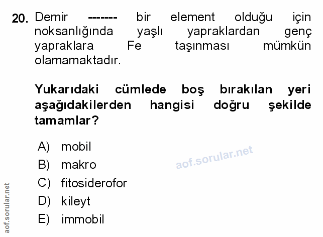 Soru 20