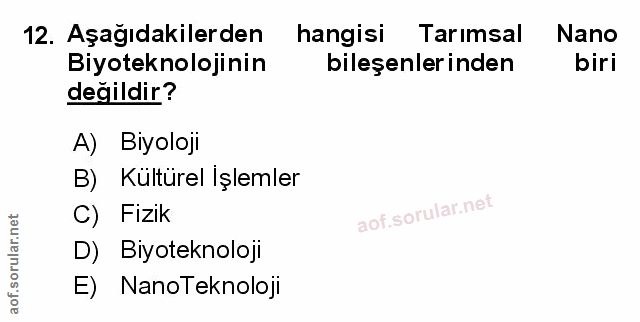 Soru 12