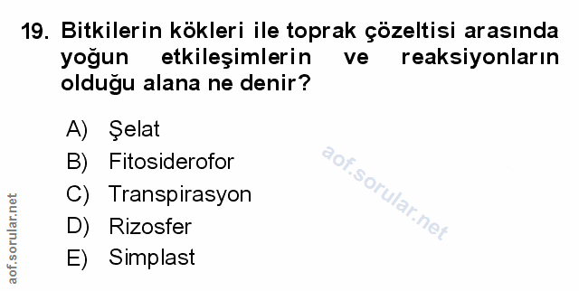 Soru 19