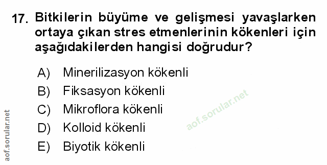 Soru 17