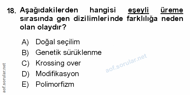 Soru 18