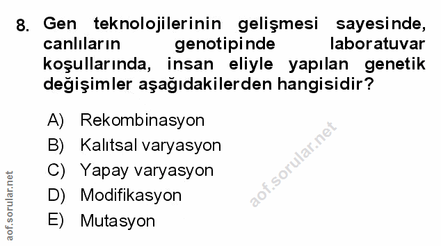 Soru 8
