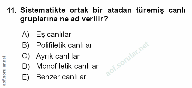 Soru 11