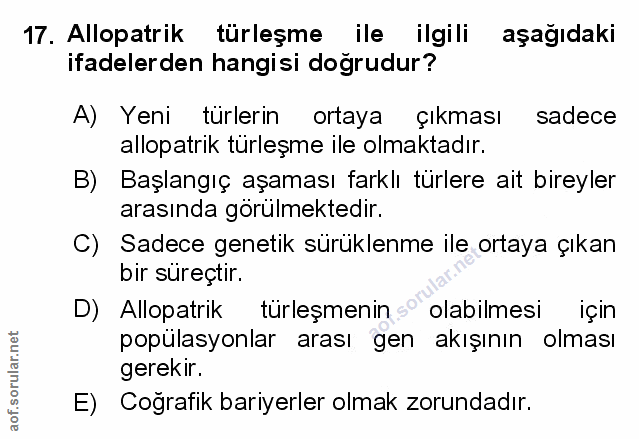 Soru 17