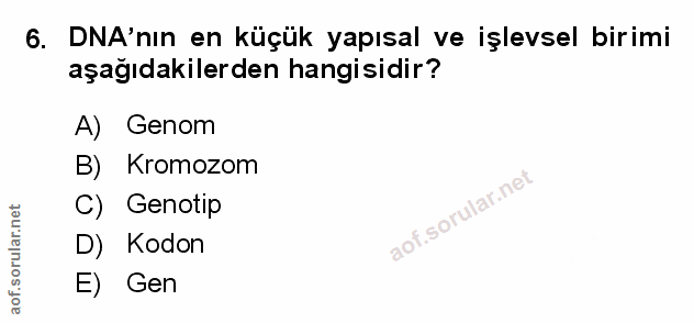 Soru 6