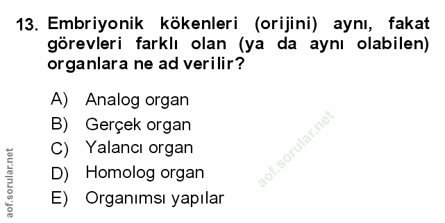 Soru 13