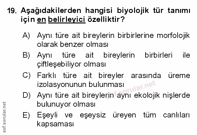 Soru 19